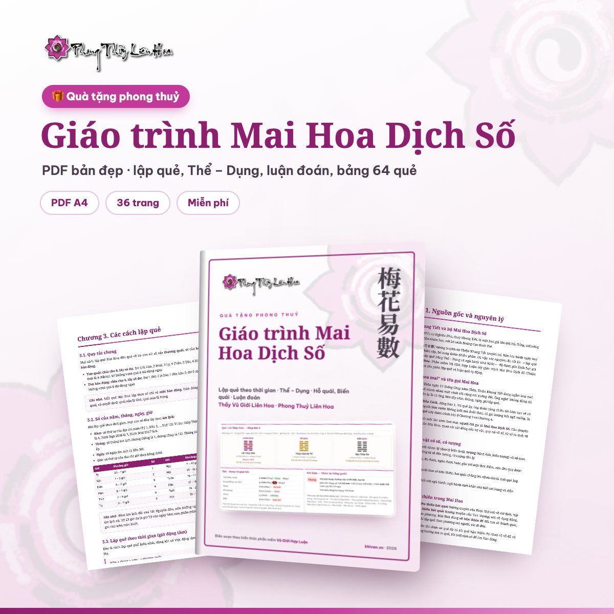 Giáo trình Mai Hoa Dịch Số PDF bản đẹp